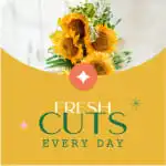 Fresh Cuts